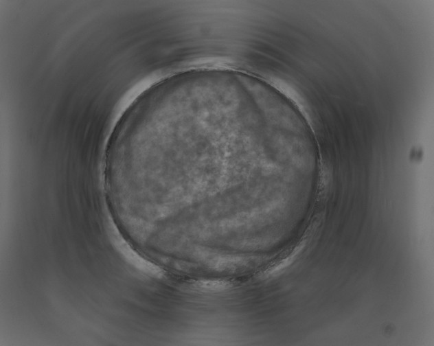 X0000091951090200710041003