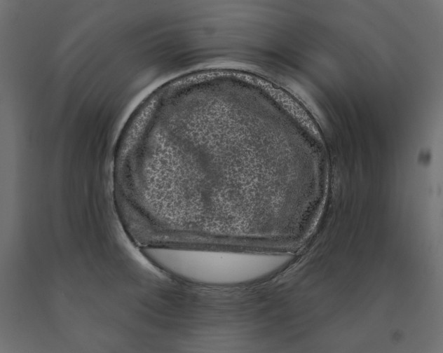 X0000091951092200710041003