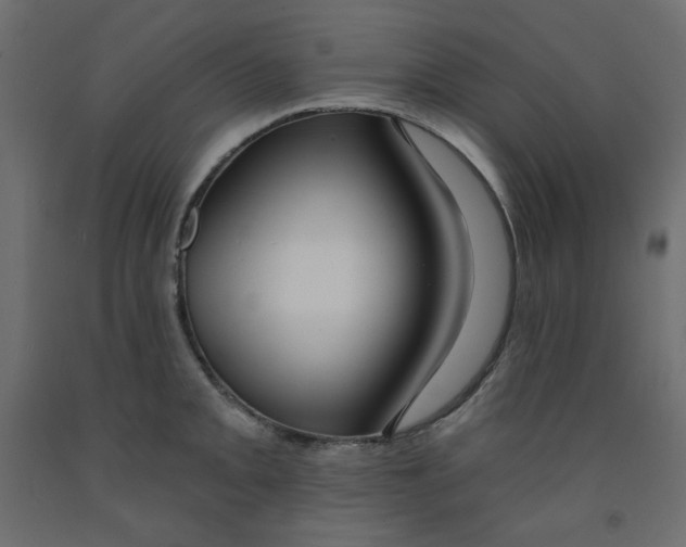 X0000091951093200710041003