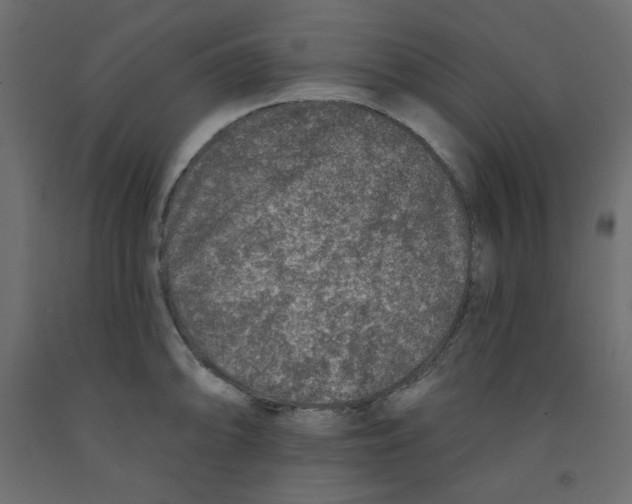X0000091951094200710041003