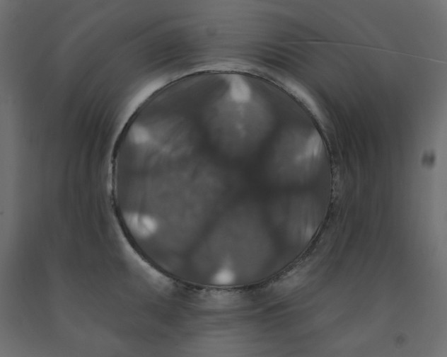 X0000091951095200710041003
