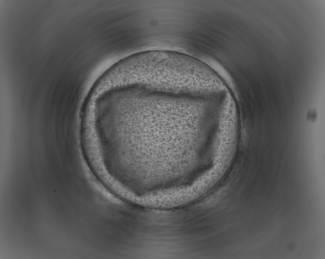 X0000091951096200710041003
