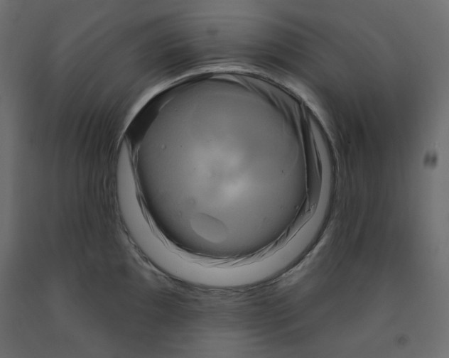 X0000091951097200710041003