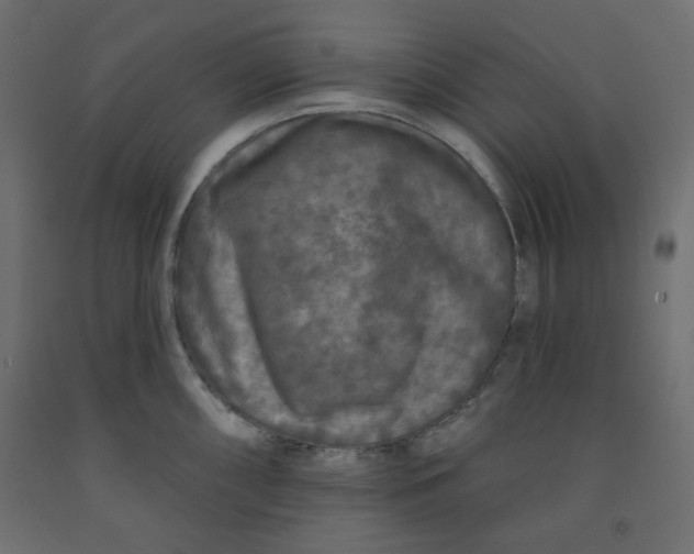 X0000091951098200710041003