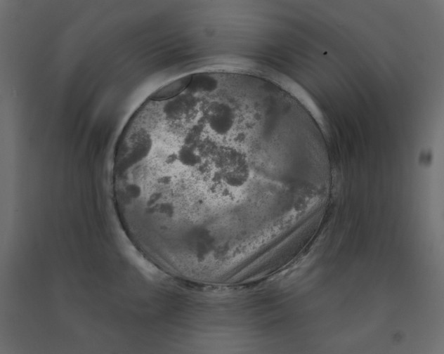 X0000091951099200710041003