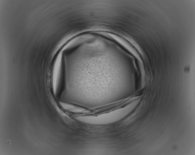 X0000091951101200710041003