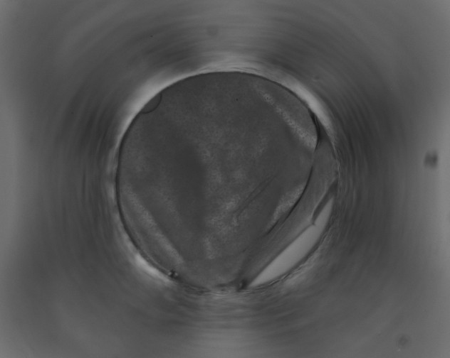 X0000091951102200710041003