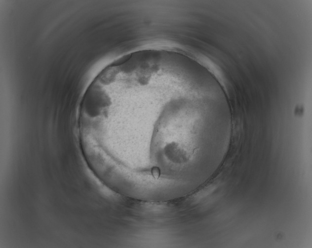X0000091951103200710041003