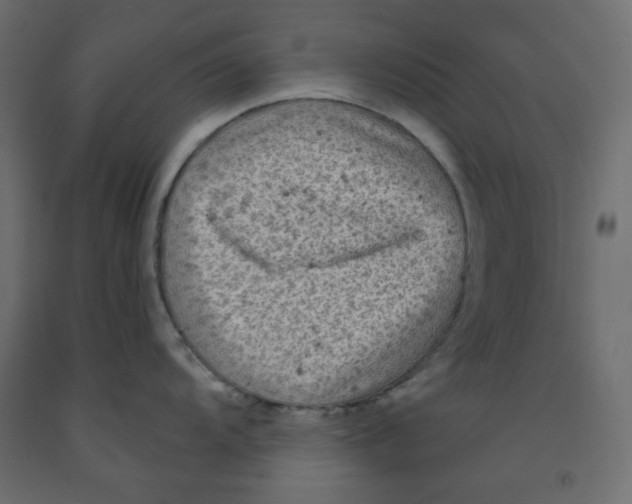 X0000091951104200710041003