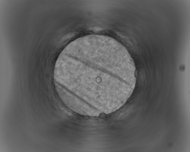 X0000091951105200710041002