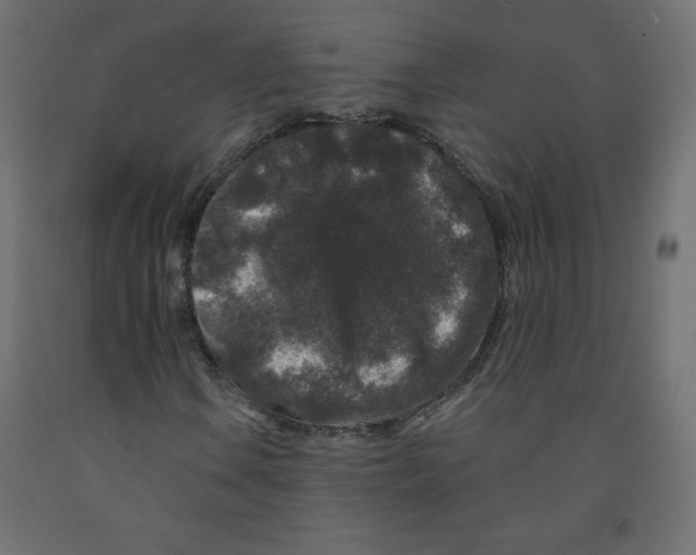 X0000091951106200710041002