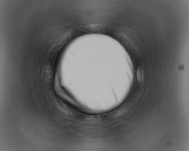 X0000091951107200710041002