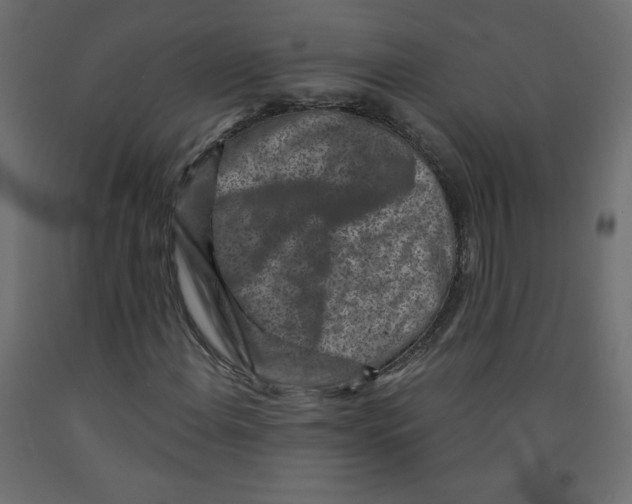 X0000091951108200710041002