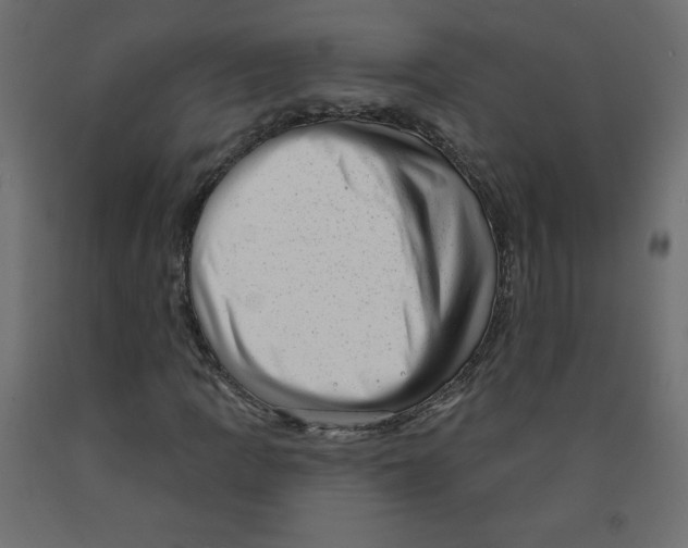 X0000091951109200710041002