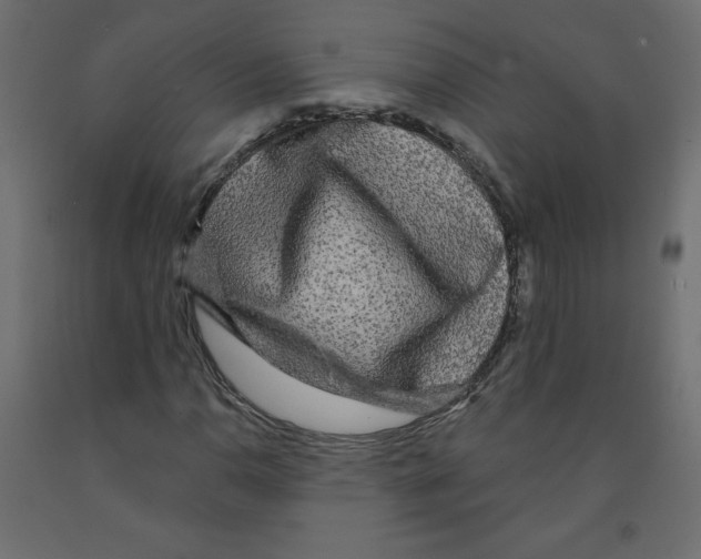 X0000091951110200710041002