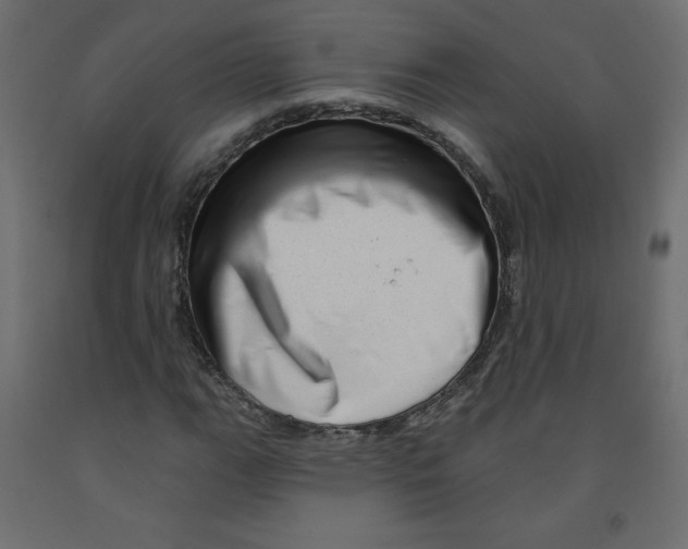 X0000091951111200710041002