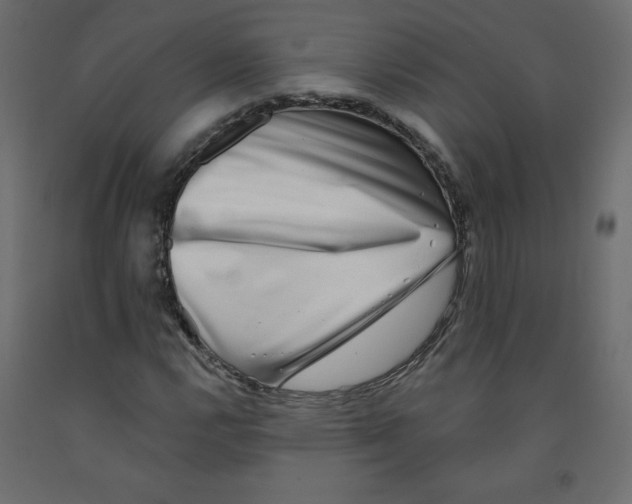 X0000091951112200710041002