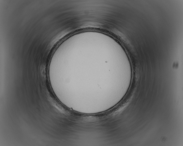 X0000091951113200710041002