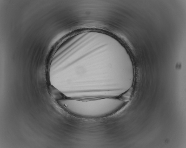 X0000091951114200710041002