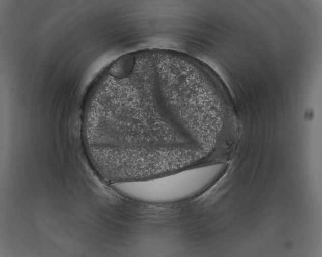 X0000091951115200710041002