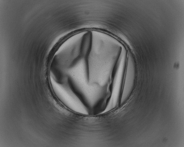 X0000091951116200710041002