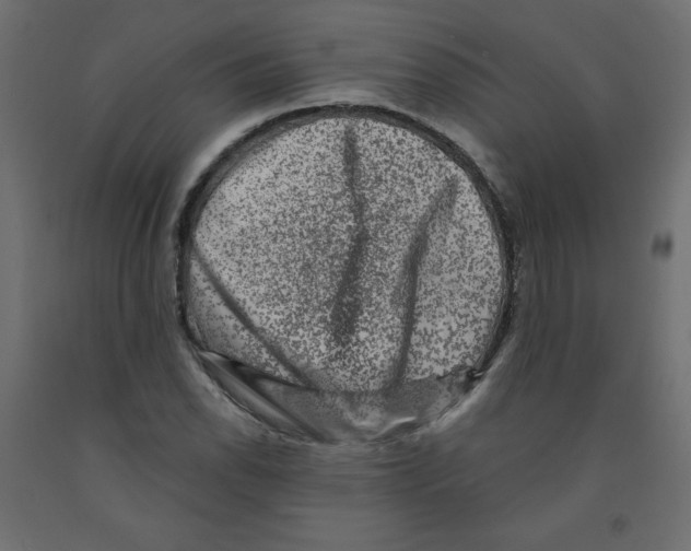 X0000091951118200710041002