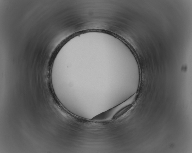 X0000091951119200710041002