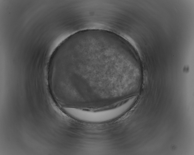 X0000091951120200710041002