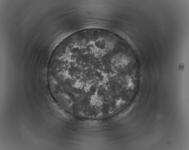 X0000091951121200710041002