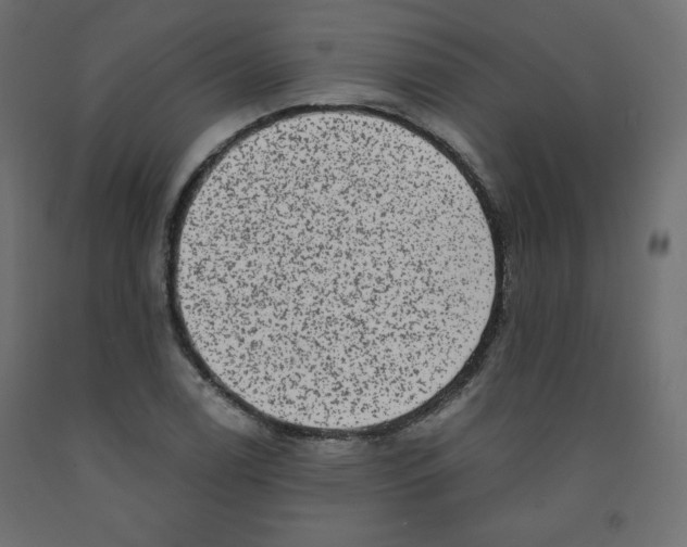 X0000091951122200710041002