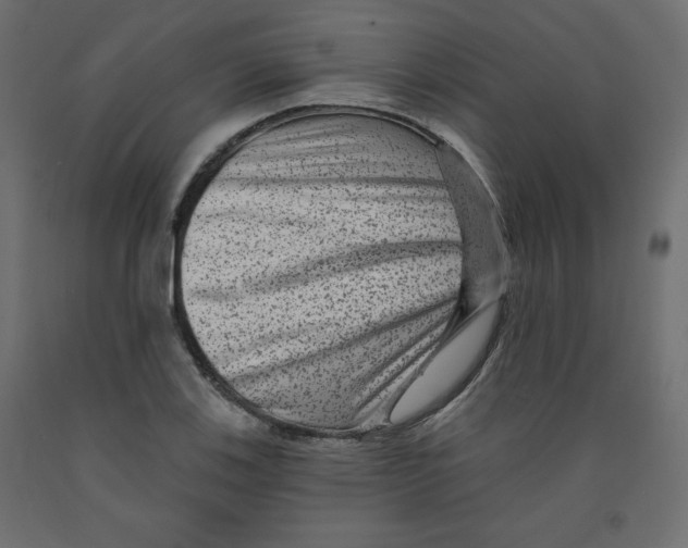 X0000091951123200710041002