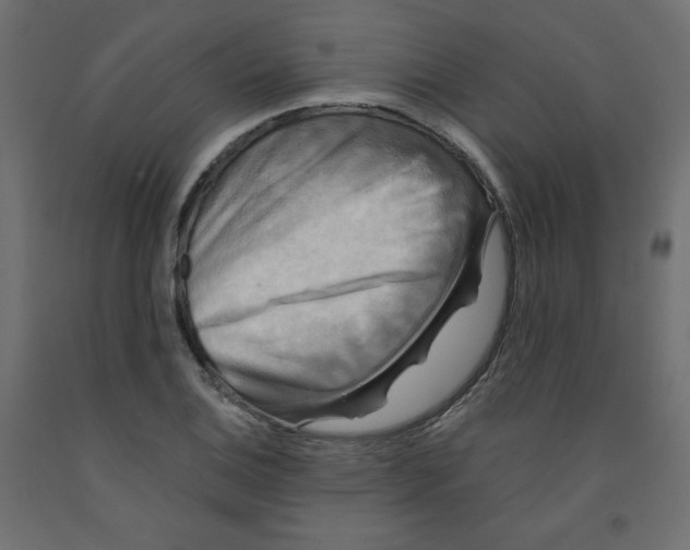 X0000091951124200710041003