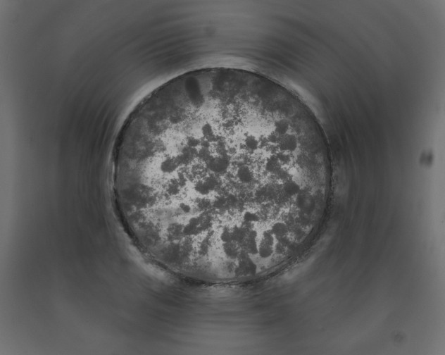 X0000091951125200710041003