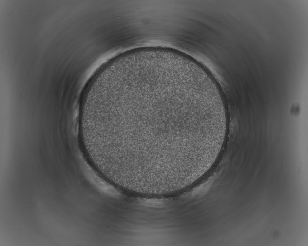 X0000091951126200710041003