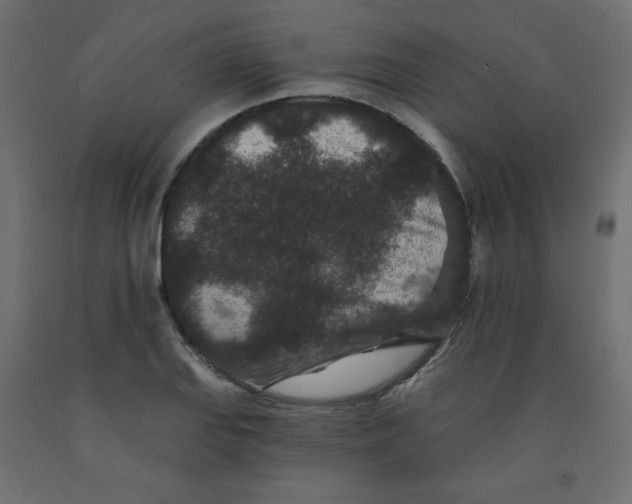 X0000091951127200710041003