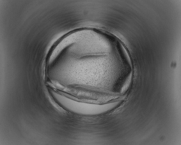 X0000091951128200710041003