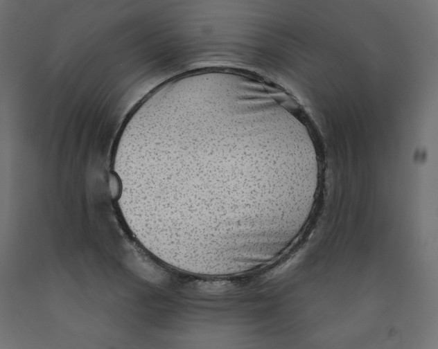 X0000091951129200710041003