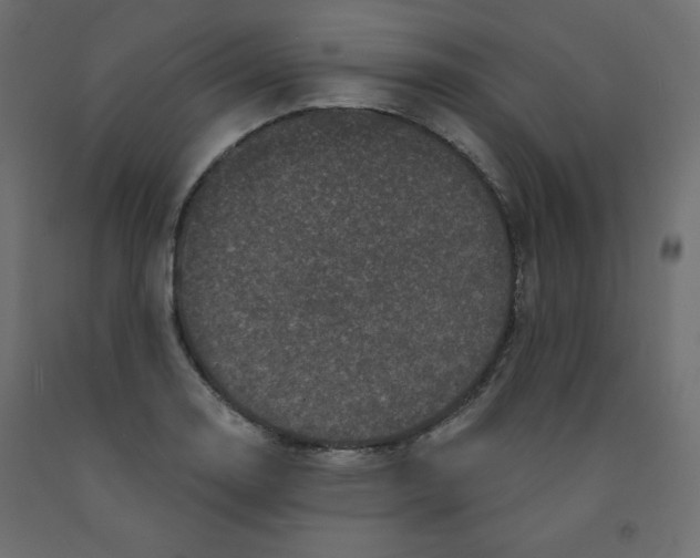 X0000091951130200710041003