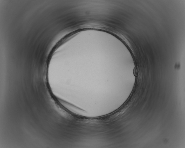X0000091951131200710041003