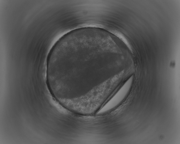 X0000091951132200710041003