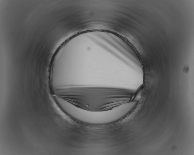 X0000091951134200710041003