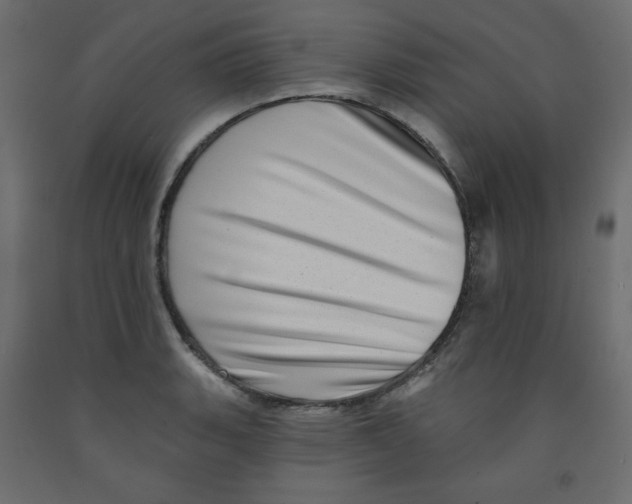 X0000091951135200710041003