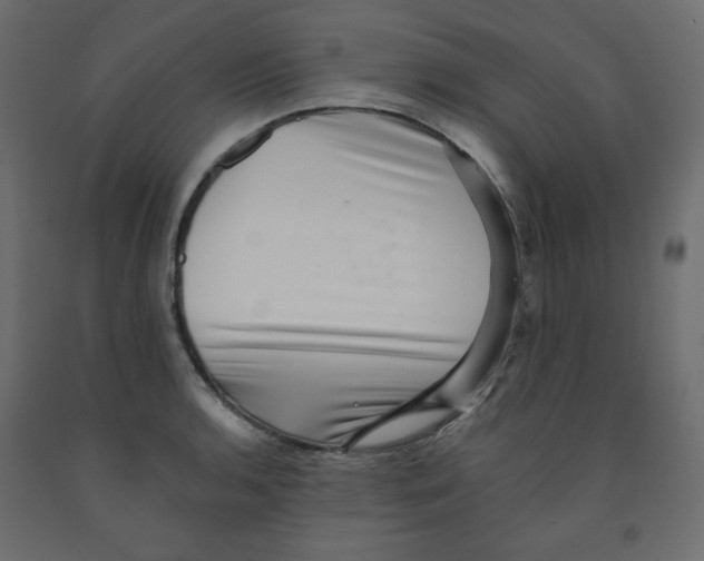 X0000091951136200710041003