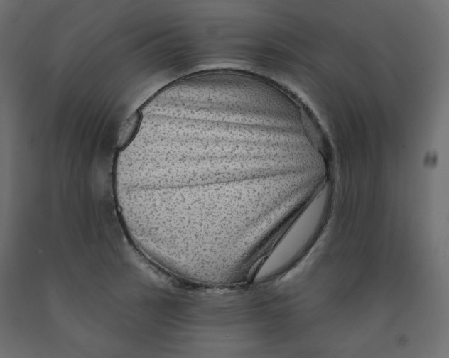 X0000091951137200710041003