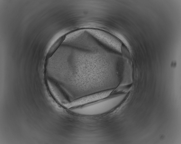 X0000091951138200710041003