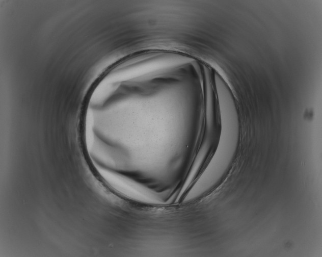 X0000091951139200710041003