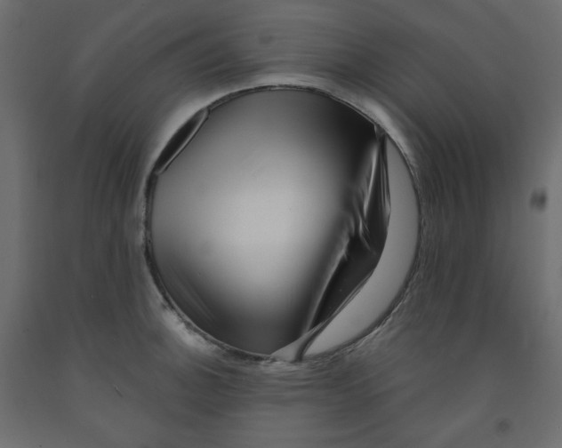 X0000091951140200710041003