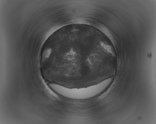 X0000091951141200710041003