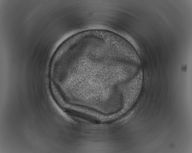 X0000091951142200710041003