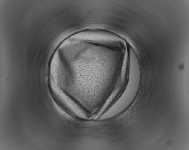 X0000091951143200710041003